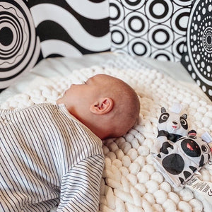 baby sensory gift newborn baby shower - My Little Learner