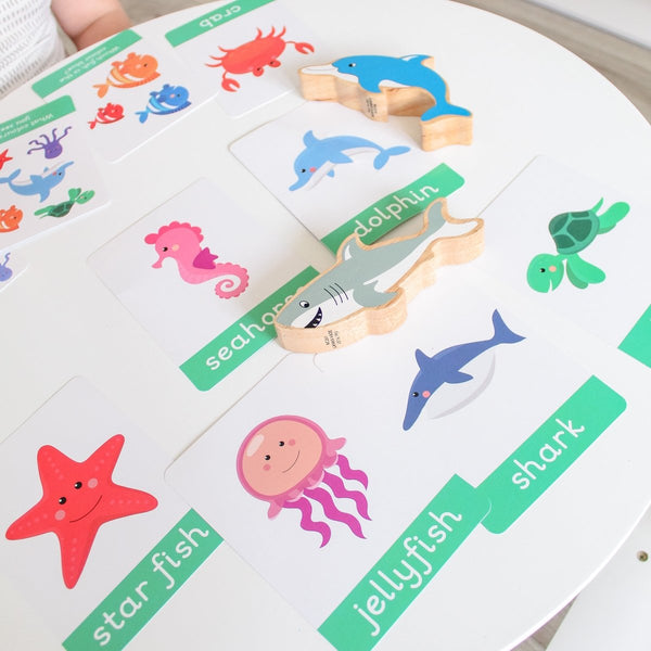 Under The Sea Flashcards