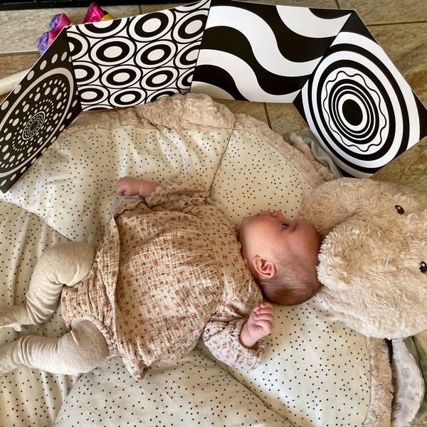 Baby Sensory Board | Black & White Fold Out Board