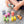 Rainbow Wooden Nuts & Bolts - 7PK