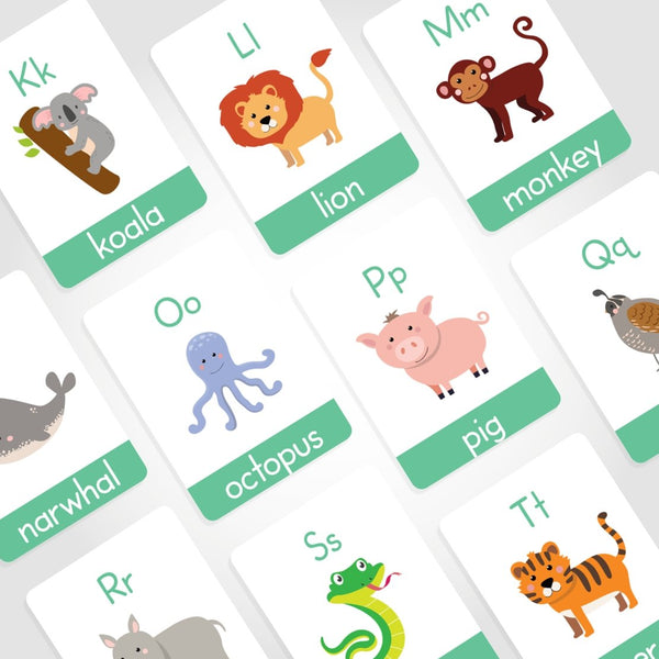 Animal Alphabet Flashcards |ABC Flashcards - My Little Learner