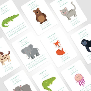 Animal Alphabet Flashcards |ABC Flashcards - My Little Learner