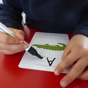 Animal Alphabet Flashcards |ABC Flashcards - My Little Learner