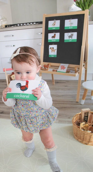 Farm Animal Flashcards | Transport Flashcards For Baby & Toddler - My Little Learner