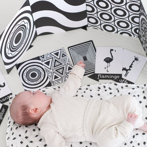 newborn baby gift baby fist black and white sensory baby development